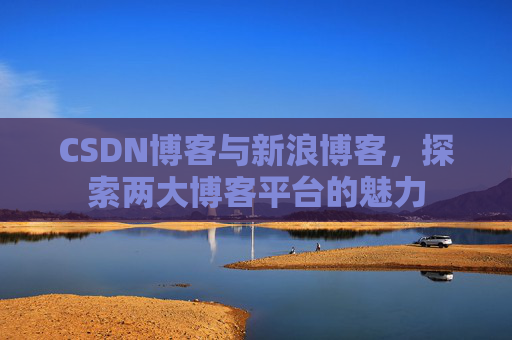 CSDN博客与新浪博客，探索两大博客平台的魅力